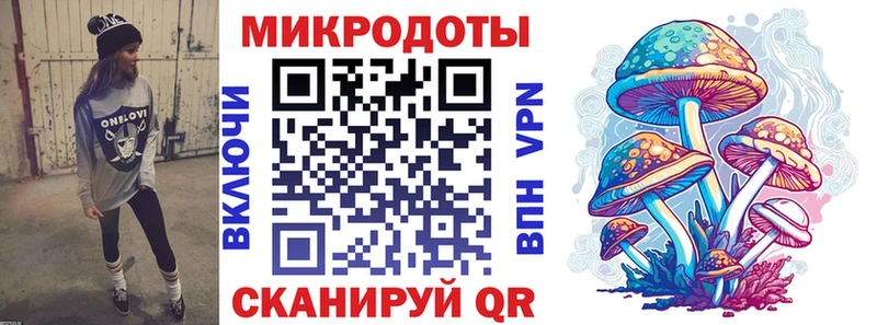 как найти   Заозёрск  Псилоцибиновые грибы Psilocybe 